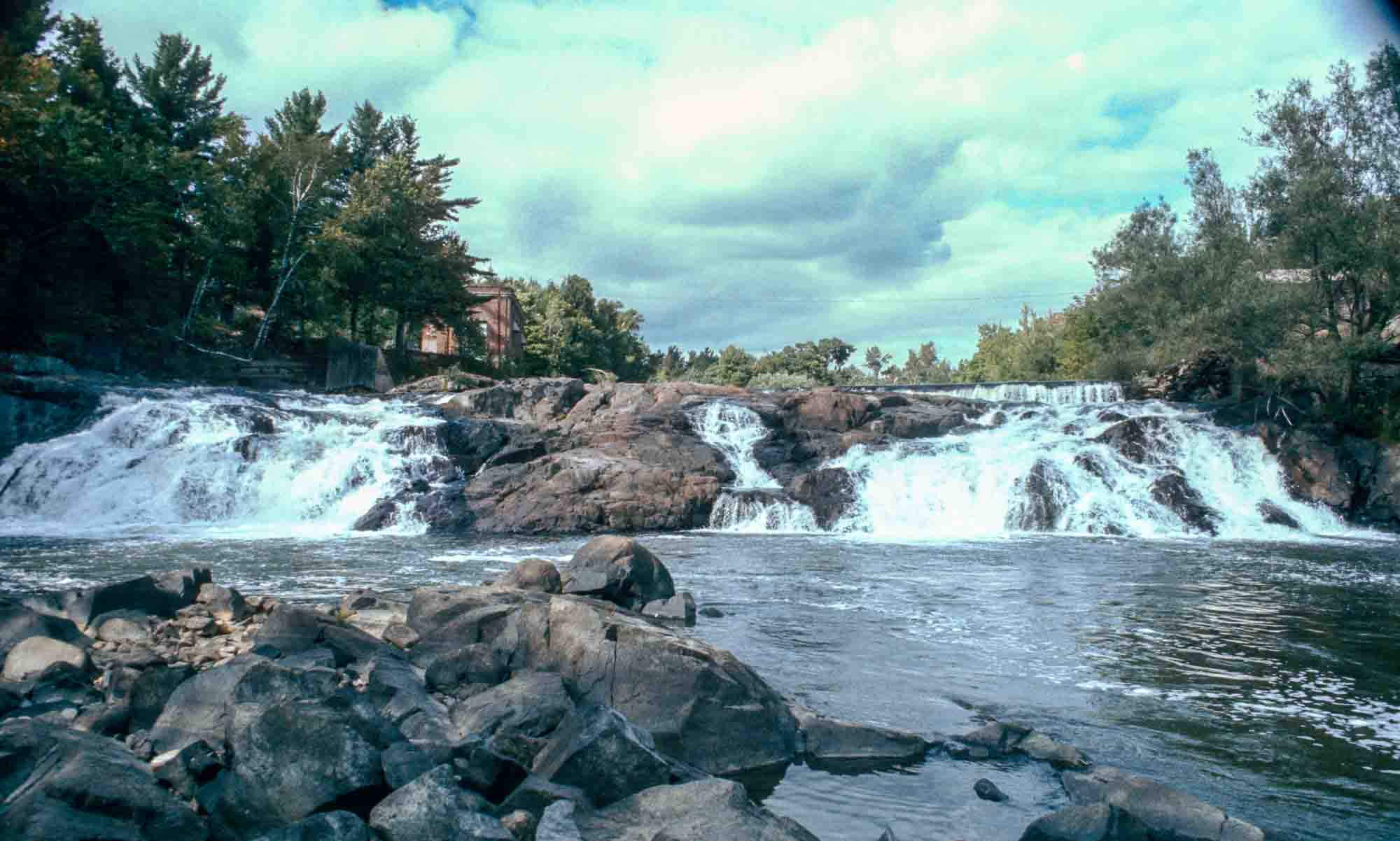 Piétonne gravement blessée au centre-ville