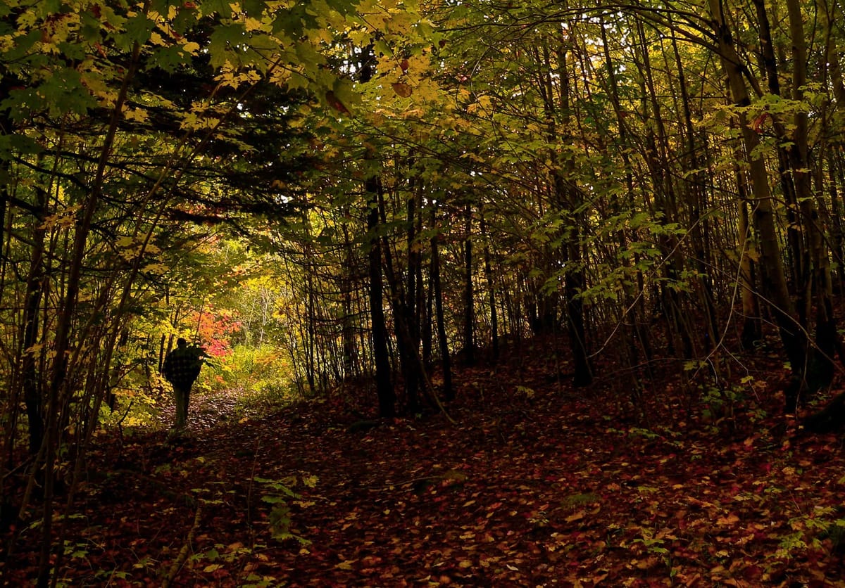 Quelle ville a le plus d'espace?