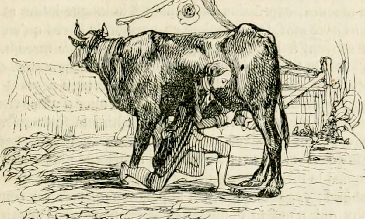 Dans cette chronique antivirus, on vous présente les meilleurs remèdes pour les petites bestioles qui s'installent dans vos a