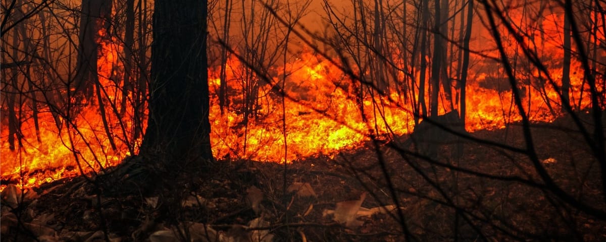 La SOPFEU vous conseille de reporter vos projets de feu à plus tard, sous peine d'amende.