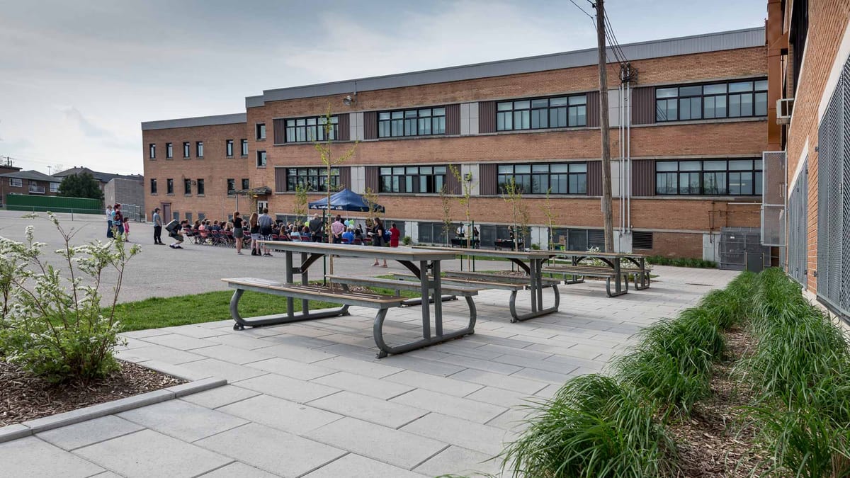 Une cour d'école plus verte à Frenette