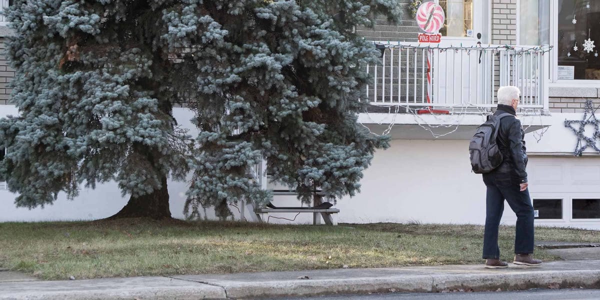 La pelouse reverdit sous le sapin, sur la rue Castonguay, le 24 décembre 2015 à Saint-Jérôme.