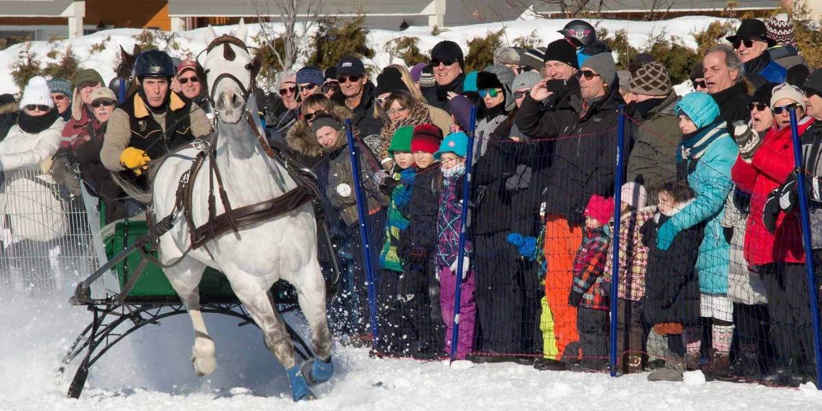 La belle température aidant, une foule record a apprécié les courses de chevaux de la fin de semaine.