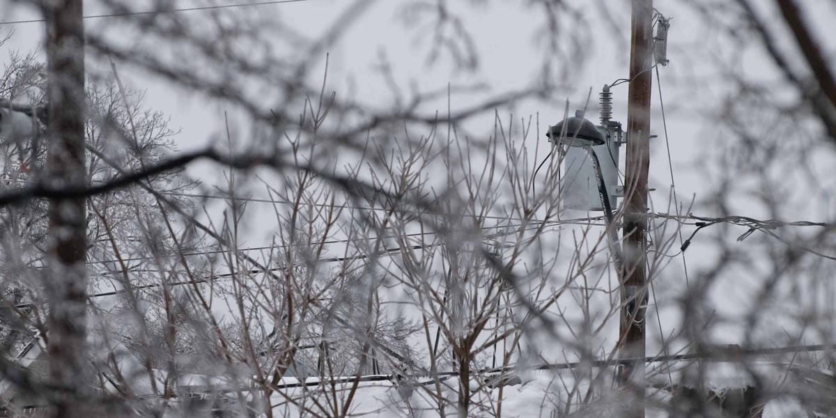 Le verglas alourdissait les arbres et les fils, le matin du 25 février 2016.