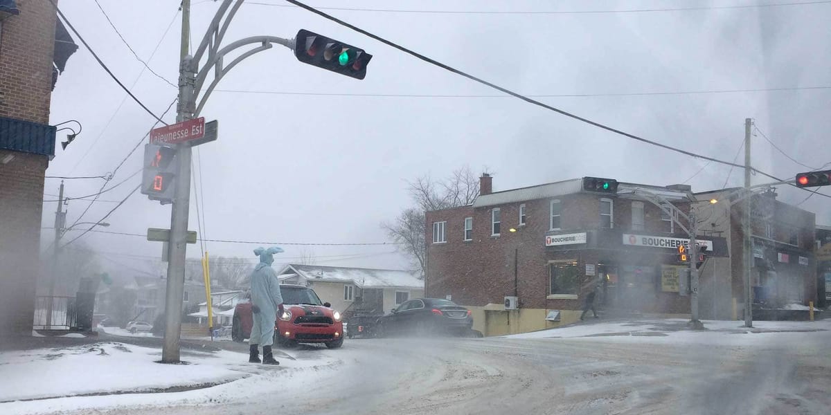 Un lapin au coin des rues Lajeunesse et Labelle, à Saint-Jérôme le 24 mars 2016.