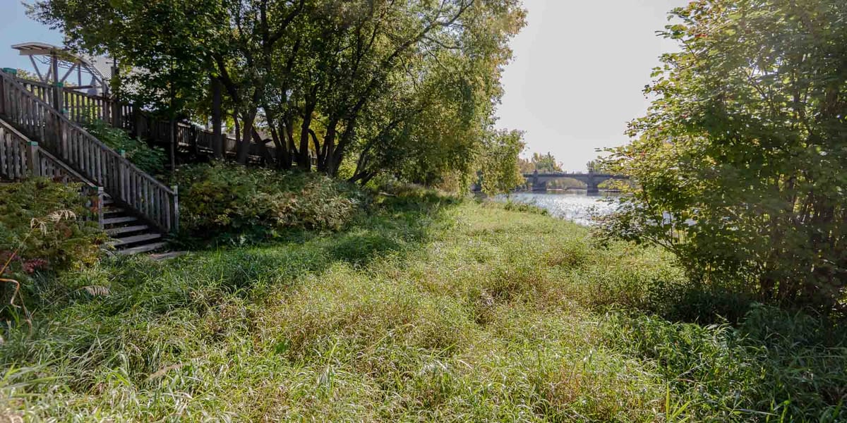 Notre dernier souper confiné, ce n'est que le début d'autre chose - jour 46 - le 22 mai 2020