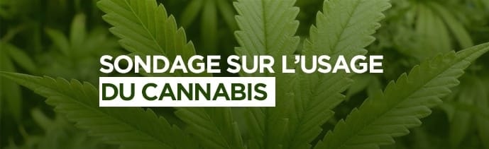 Qui a peur du cannabis à Saint-Jérôme?