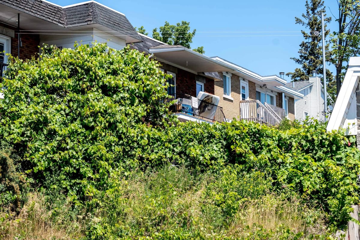 Un matelas souillé qui inquiète, rue Melançon