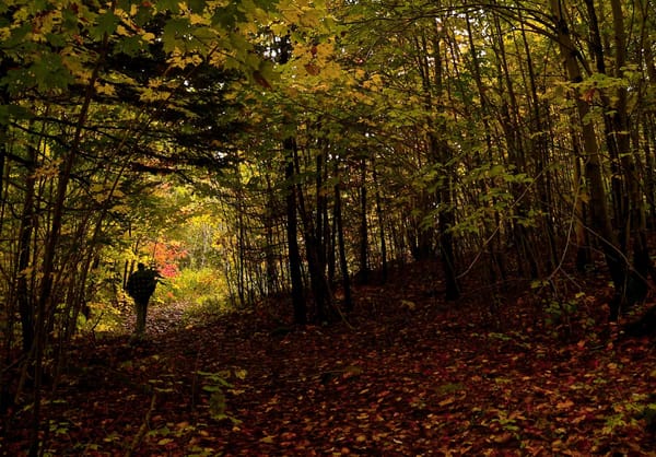 Quelle ville a le plus d'espace?