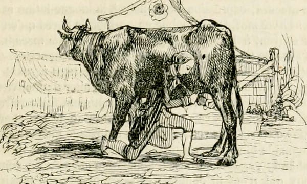 Dans cette chronique antivirus, on vous présente les meilleurs remèdes pour les petites bestioles qui s'installent dans vos a