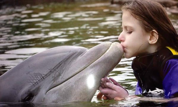 Atteinte d'une maladie grave et mortelle, Maéva Nantel, 6 ans de Saint-Jérôme, a réalisé son rêve de nager avec des dauphins,