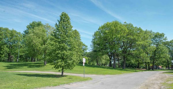 Aucun arbre ne sera coupé pour le stationnement Melançon