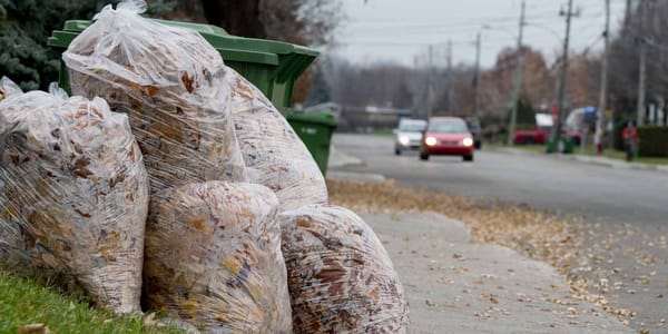 Pour la planète, la pire chose à faire avec vos feuilles mortes, c'est de les laisser dans des sacs de plastique.