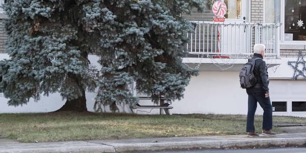 La pelouse reverdit sous le sapin, sur la rue Castonguay, le 24 décembre 2015 à Saint-Jérôme.