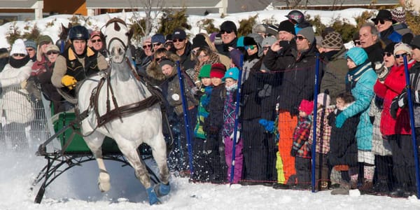 La belle température aidant, une foule record a apprécié les courses de chevaux de la fin de semaine.