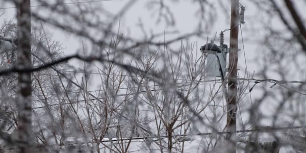 Le verglas alourdissait les arbres et les fils, le matin du 25 février 2016.