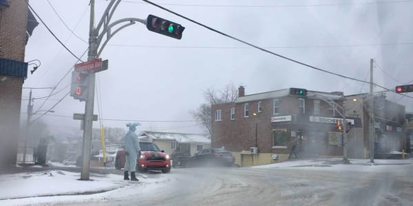 Un lapin au coin des rues Lajeunesse et Labelle, à Saint-Jérôme le 24 mars 2016.