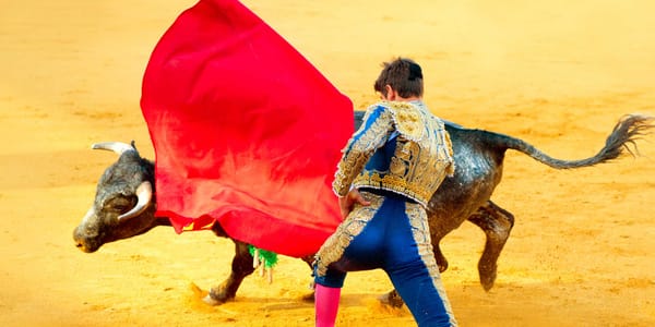 La tauromachie est cet «art» contesté dont l'objectif est de mettre un taureau à mort lors d'un spectacle. Photo par Subbotin