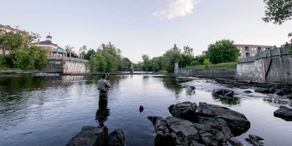 Pêche à la mouche sur la rivière du Nord, sous le pont Castonguay, à Saint-Jérôme, le 28 août 2015.