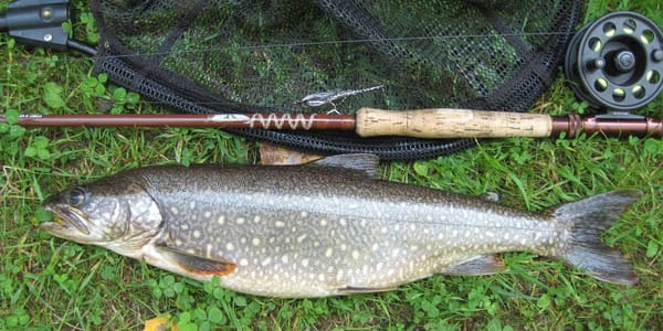 Ce qu'il faut retenir du touladi