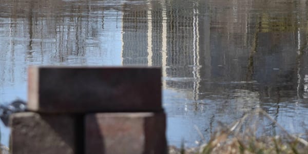 Un projet nécessaire