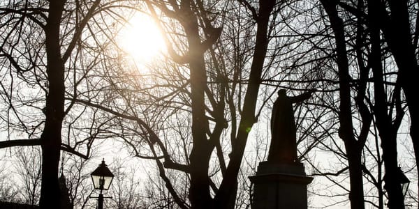 Le soleil se couche sur le parc Labelle, le 25 novembre 2015.