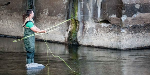 Un moucheur en pleine action près d'un des piliers du pont Castonguay, au centre-ville de Saint-Jérôme, le 23 août 2016.