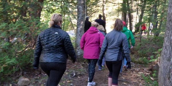 Focus sur les Laurentides no 1261