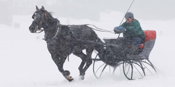 Focus sur les Laurentides no 1270