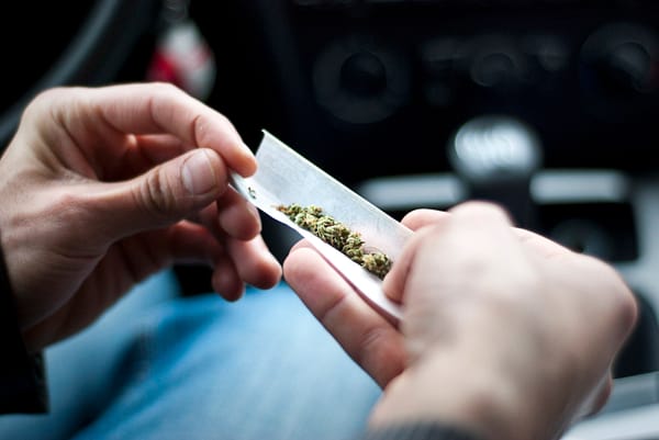 Quatre conseillers municipaux doivent encadrer l’usage du cannabis à Saint-Jérôme