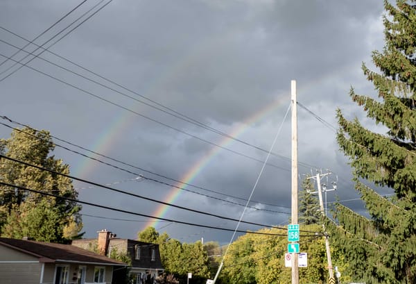 Arcs-en-ciel électoraux?