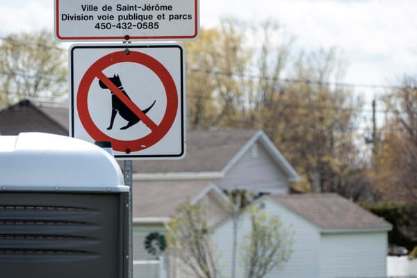 Enfant mordu par un chien à Saint-Jérôme: Quelles sont les règles?