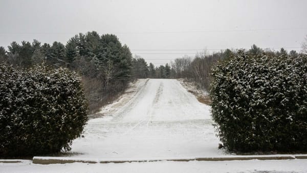 Nouveaux anneaux de glace, retour de la glissade au parc des Hauteurs et personnages lumineux à la nuit tombée à Saint-Jérôme pour décembre