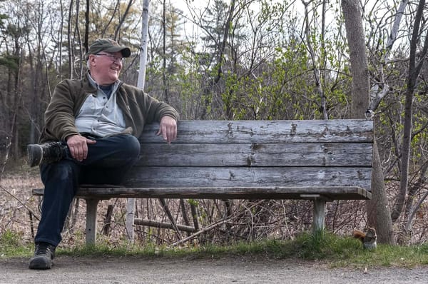 Daniel Forget, l'homme qui photographie des oiseaux