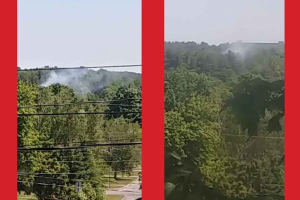 Feu de forêt sur le territoire du Parc régional de la Rivière-du-Nord
