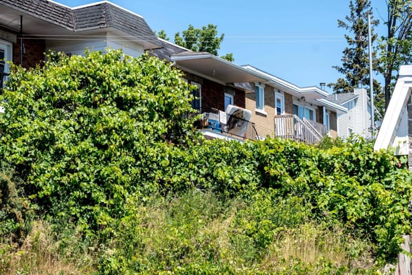 Un matelas souillé qui inquiète, rue Melançon