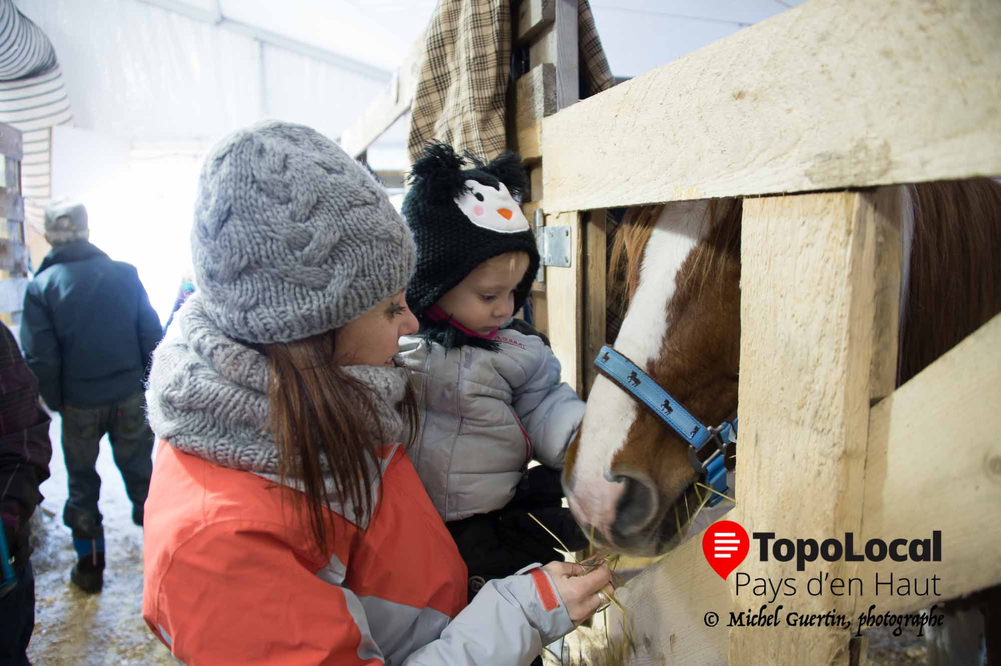 La visite des écuries est toujours très prisée.La jeune Charlie en compagnie de sa maman Geneviève Landry est impressionnée par ce beau cheval qui se prête à la visite. Ces gens sont venu d'aussi loin que Beloeil sur la rive sud pour assister à ce bel événement de Festi-Neige.
