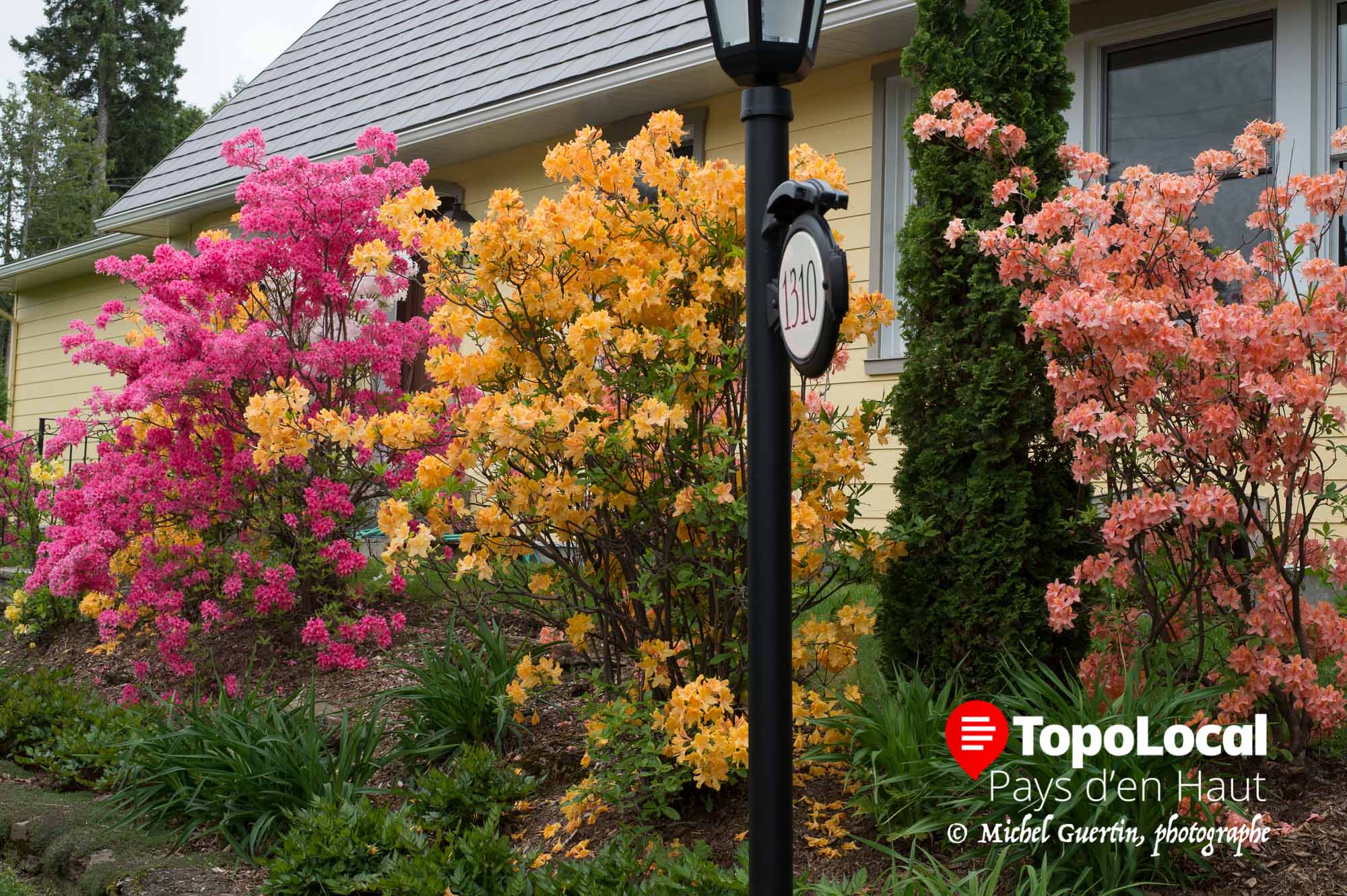 20160608-sainte-adele-maisons-fleuries