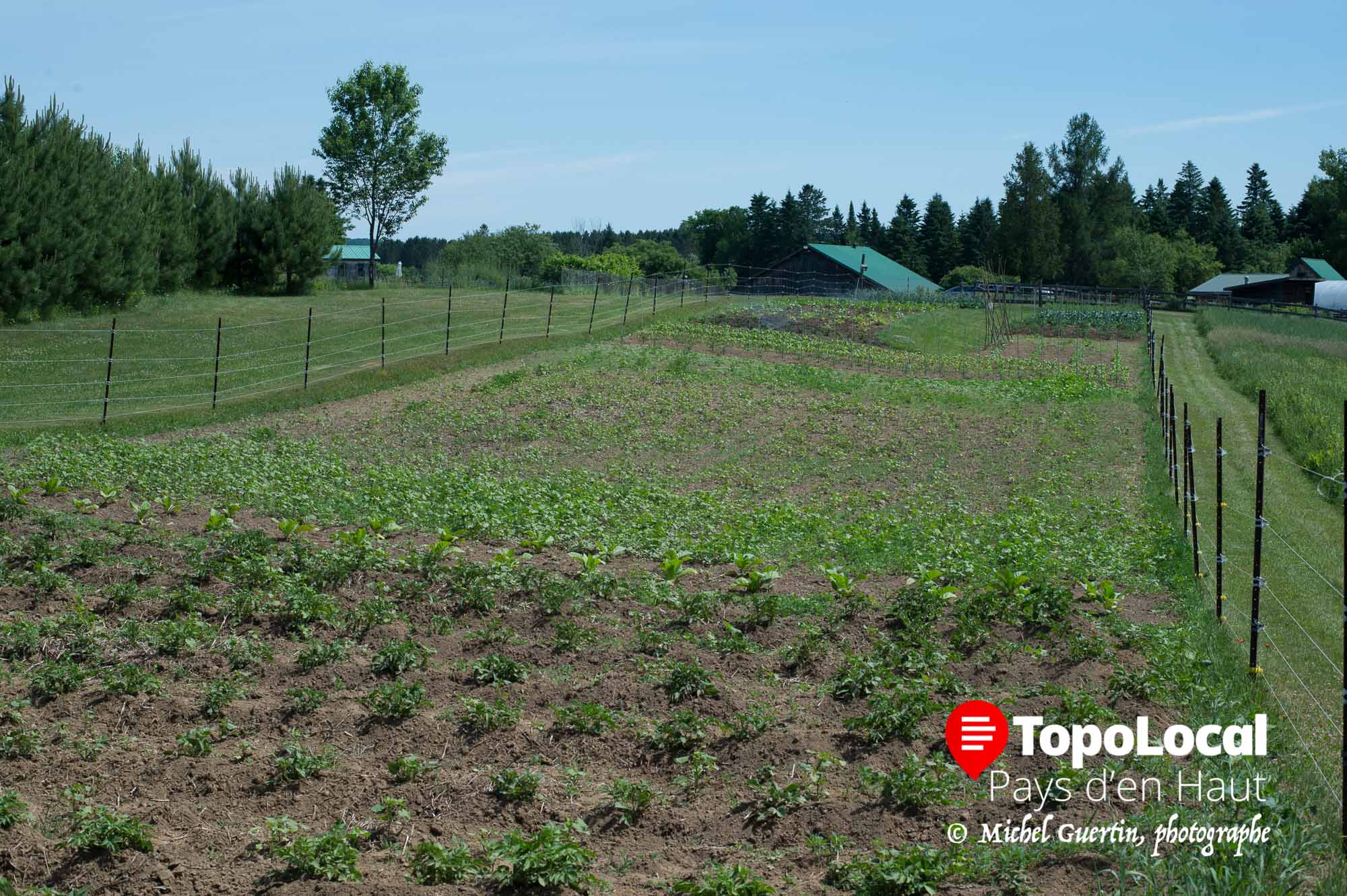 20160626-arundel-ferme-biologique-hide-away-creek-farm