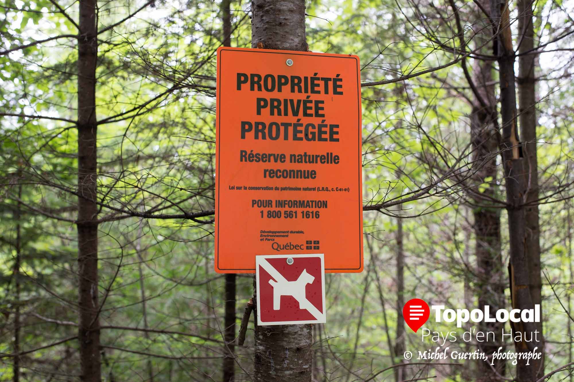 20160702-sainte-adele-baissière-lac-rond