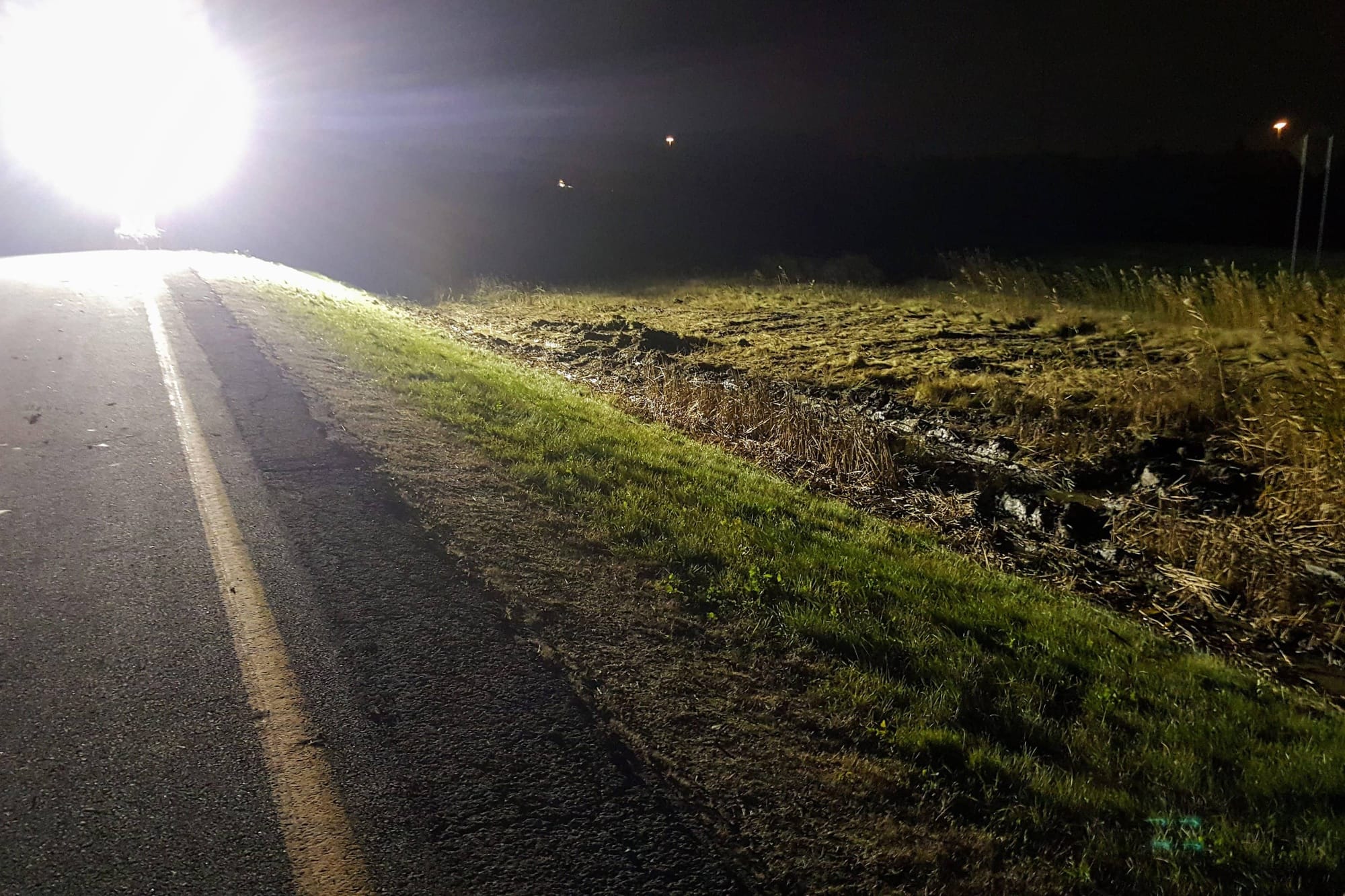 Les traces laissées dans les herbes hautes ne sont pas celles d'un loup-garou, même si c'était la veille de l'Halloween.